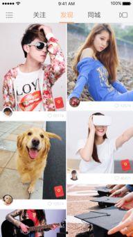 小八卦最新爆料视频下载,揭秘娱乐圈幕后真相